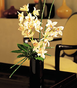  Amasya iekiler  cam yada mika vazo ierisinde dal orkide