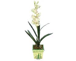 zel Yapay Orkide Beyaz   Amasya online ieki , iek siparii 