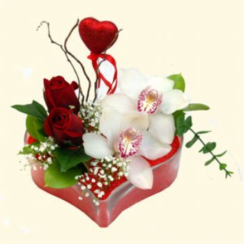  Amasya hediye sevgilime hediye iek  1 kandil orkide 5 adet kirmizi gl mika kalp