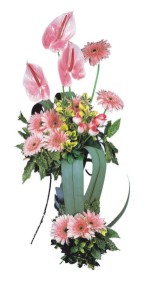  Amasya güvenli kaliteli hızlı çiçek  Pembe Antoryum Harikalar Rüyasi