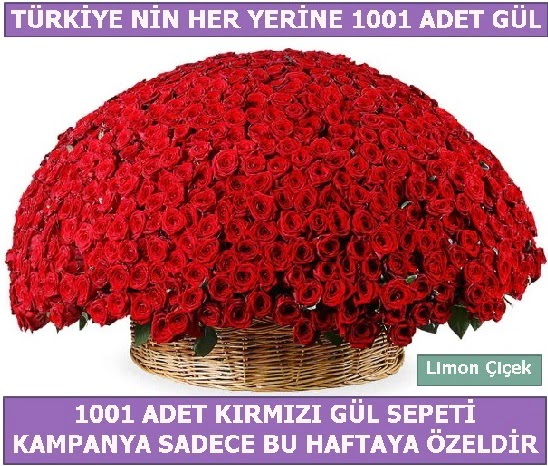 1001 Adet kırmızı gül Bu haftaya özel  Amasya İnternetten çiçek siparişi 