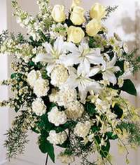  Amasya online çiçek gönderme sipariş  Kazablanka gül ve karanfil ferforje