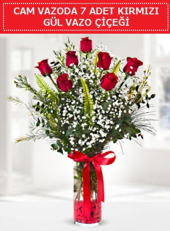 Cam vazoda 7 adet kırmızı gül çiçeği  Amasya çiçek gönderme sitemiz güvenlidir 