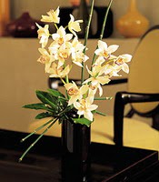  Amasya çiçekçiler  cam yada mika vazo içerisinde dal orkide