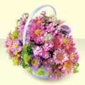  Amasya yurtiçi ve yurtdışı çiçek siparişi  bir sepet dolusu kir çiçegi  Amasya çiçek gönderme sitemiz güvenlidir 