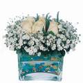 mika ve beyaz gül renkli taslar   Amasya çiçek satışı 