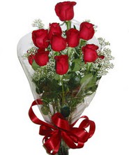 9 adet kaliteli kirmizi gül   Amasya online çiçekçi , çiçek siparişi 