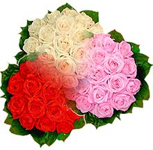 3 renkte gül seven sever   Amasya çiçek , çiçekçi , çiçekçilik 