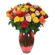 51 adet gül ve kaliteli vazo   Amasya çiçek gönderme sitemiz güvenlidir 