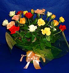  Amasya hediye çiçek yolla  13 adet karisik renkli güller