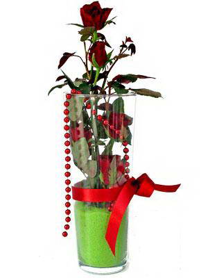  Amasya online çiçek gönderme sipariş  Cam yada mika içerisinde 9 adet kirmizi gül - sevdiklerinize özel 