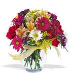  Amasya çiçek , çiçekçi , çiçekçilik  cam yada mika vazo içerisinde karisik kir çiçekleri
