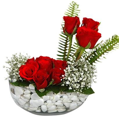 cam içerisinde 9 adet kirmizi gül  Amasya çiçek siparişi vermek 