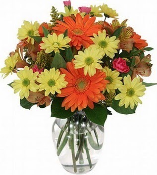  Amasya hediye sevgilime hediye çiçek  vazo içerisinde karışık mevsim çiçekleri