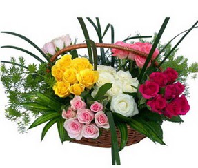  Amasya ucuz çiçek gönder  35 adet rengarenk güllerden sepet tanzimi