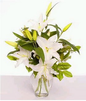  Amasya çiçek gönderme  2 dal cazablanca vazo çiçeği