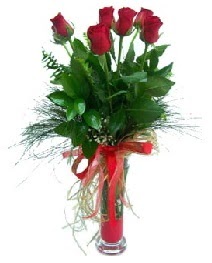 vazo içerisinde 5 kırmızı gül  Amasya güvenli kaliteli hızlı çiçek 