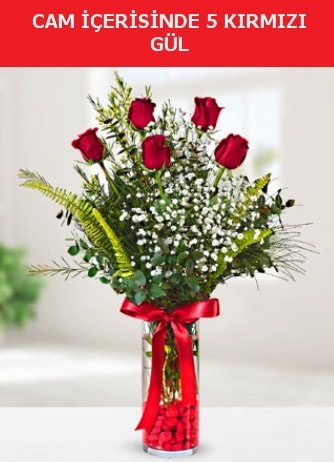 Cam içerisinde 5 adet kırmızı gül  Amasya çiçek siparişi sitesi 